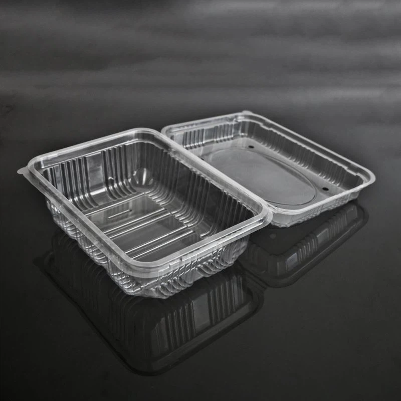 Muschel-Obstkiste mit Löchern